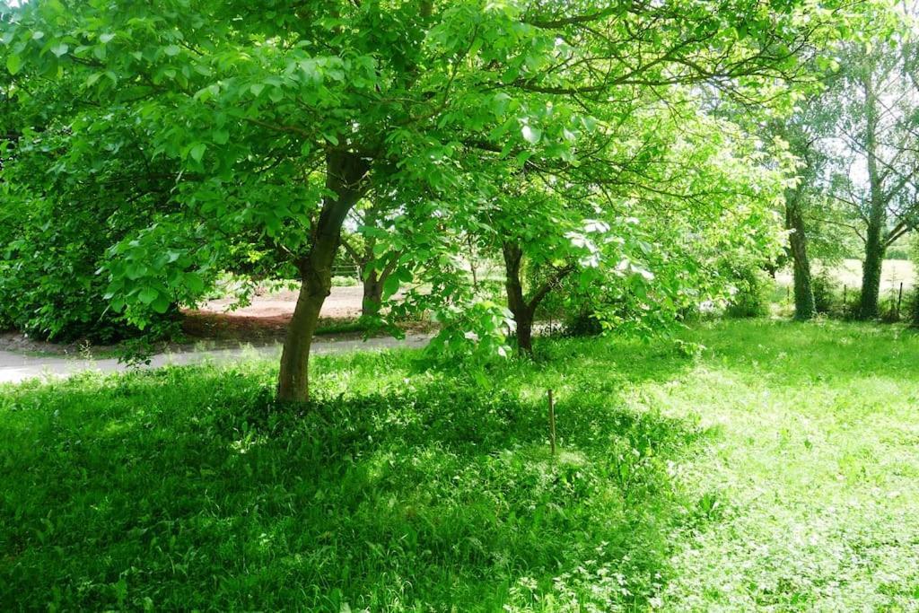 Ferienwohnung Im Gruenen 거튼하임 외부 사진