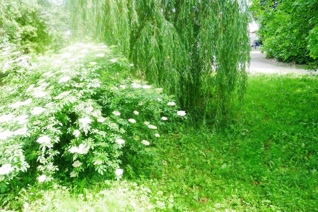 Ferienwohnung Im Gruenen 거튼하임 외부 사진